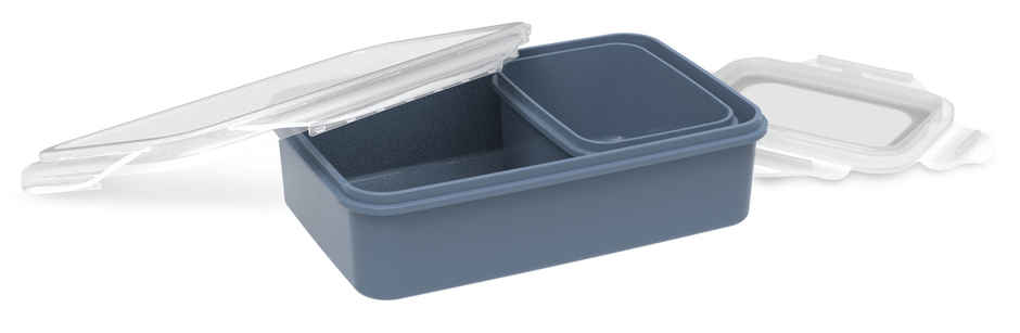All Time Lock & Safe Storage Containers Set Of 2, (1250 ml X 1, 350 ml X 1 ) (Colour May Vary)