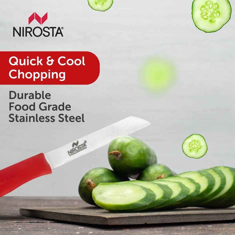 Fackelmann Nirosta Alpha Stainless Steel Vegetable Knife | Ergonomic Handle