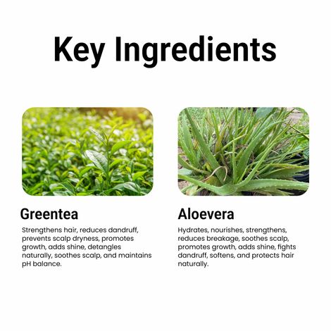 Multani Naturals Greentea & Aloevera Hair Conditioner | For Hair Fall & Scalp Dryness|No SLS
