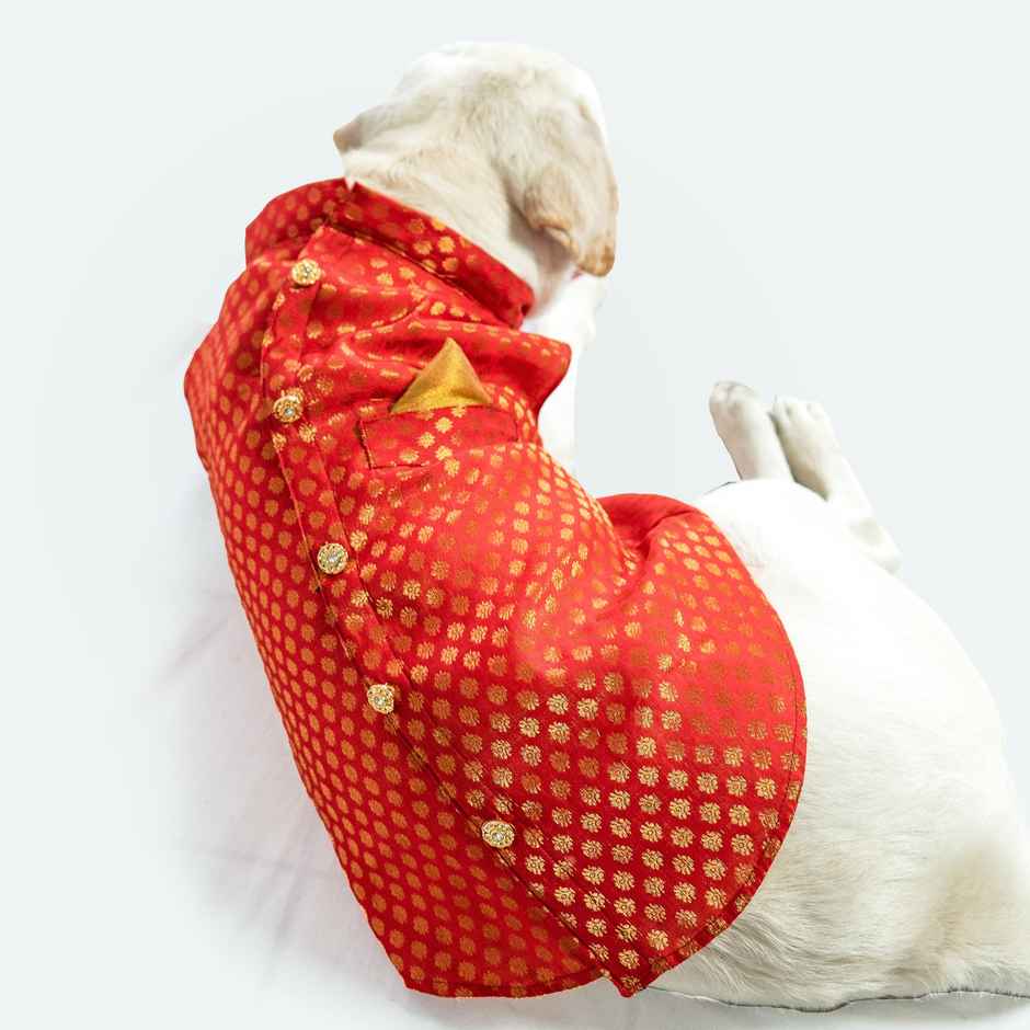 Pawgy Pets Sherwani Red For Dogs And Cats | S