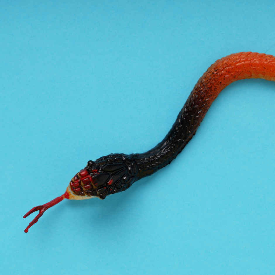 Fake Snake Prank Toy | Happy Mail