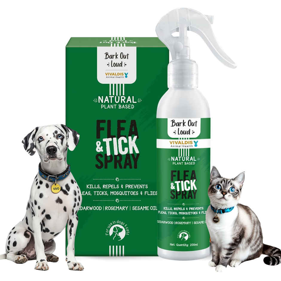 Bark Out Loud Natural Tick And Flea Spray | For Dogs And Cats (200ml) & Bark Out Loud Natural Tick And Flea Shampoo | For Cats & Dogs (200ml) Combo