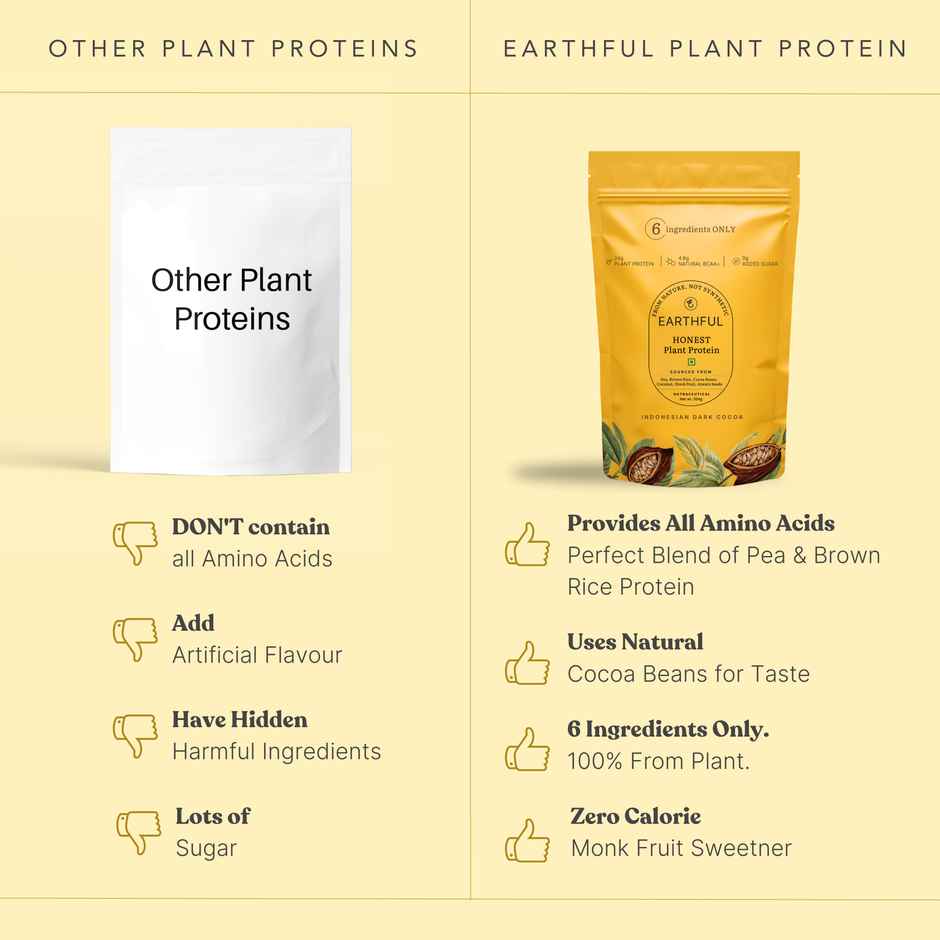 Earthful Honest Plant Protein - Indonesian Cocoa