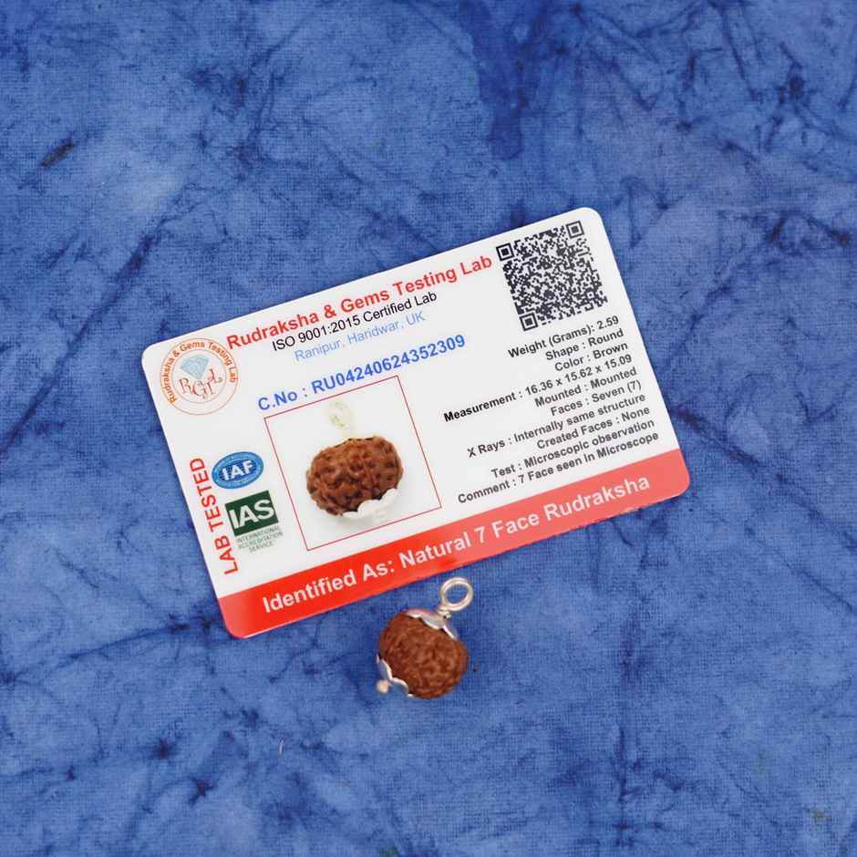 7 Mukhi Rudraksha | Pendant | ServDharm