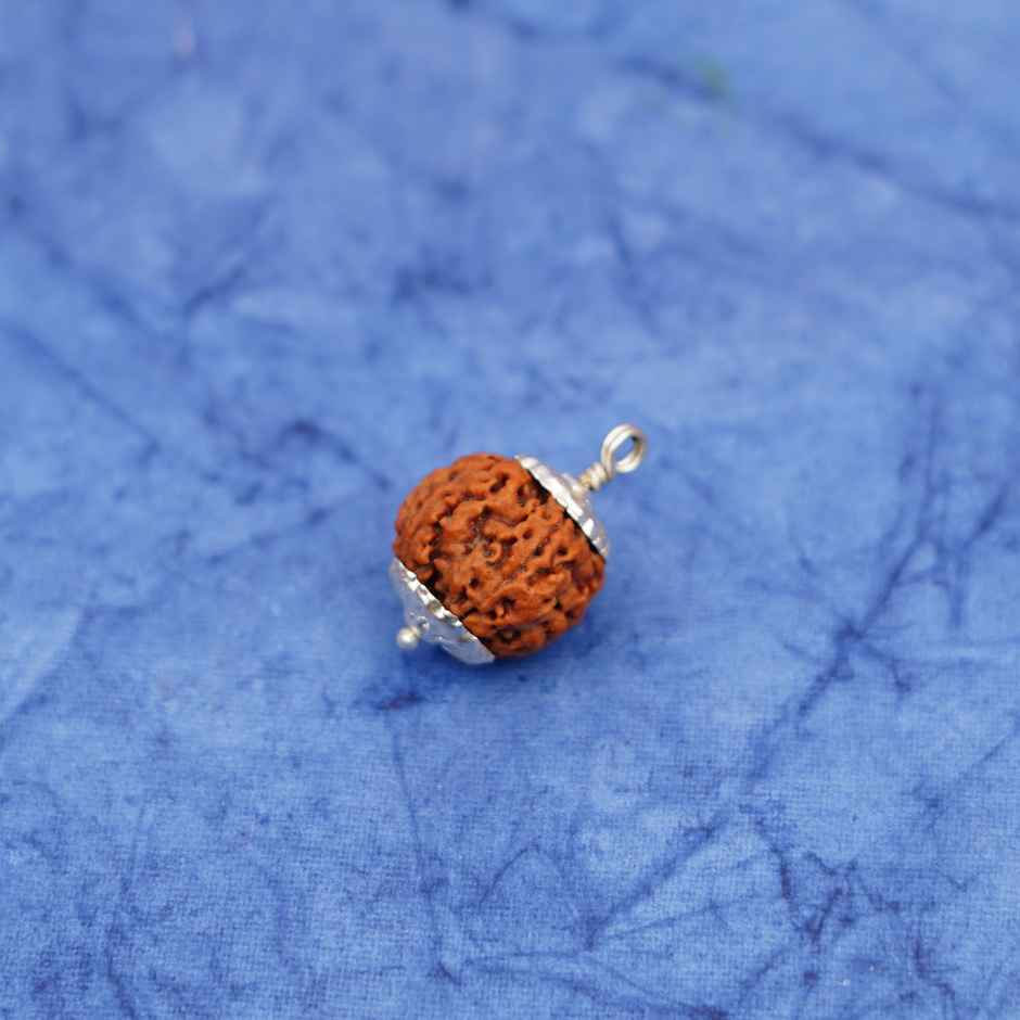 5 Mukhi Rudraksha | Pendant | ServDharm