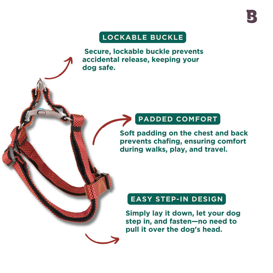 BearHugs Essential Step In Dog Harness Padded with Lock | Large - 25 mm