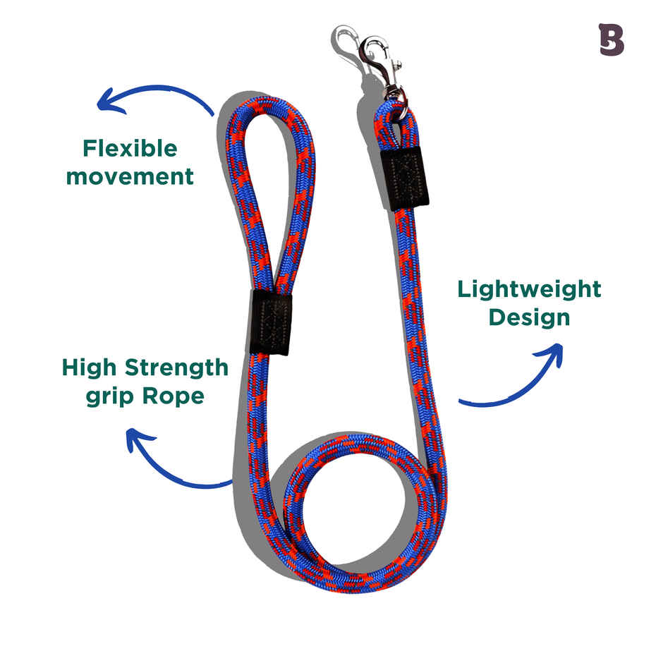 Bearhugs Essential Reflective Rope Leash (Royal Blue) (Small)