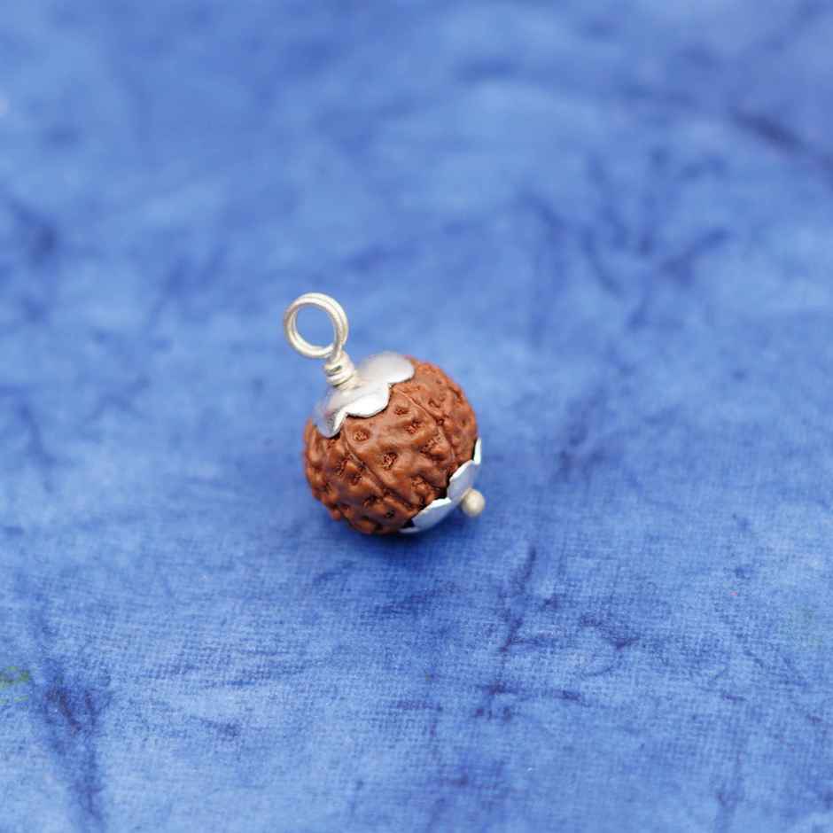 7 Mukhi Rudraksha | Pendant | ServDharm