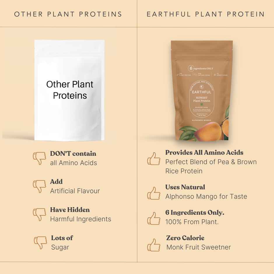 Earthful Honest Plant Protein - Alphonso Mango