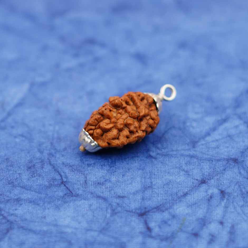 Servdharm 2 Mukhi Rudraksha Pendant