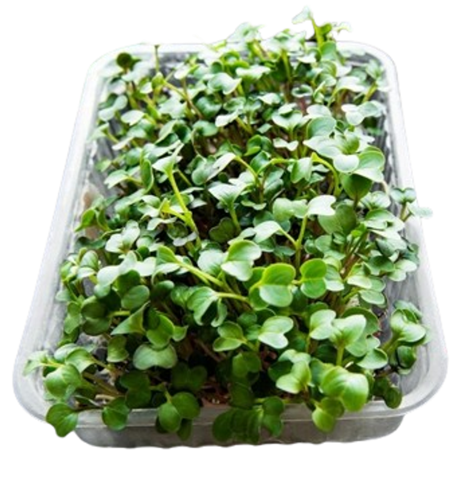 Hydroponic Assorted Microgreens Mix
