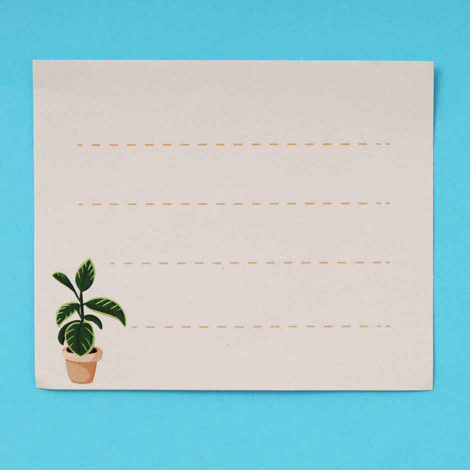 Indoor Herb Garden Kit with Seeds | DIY Gardening Set