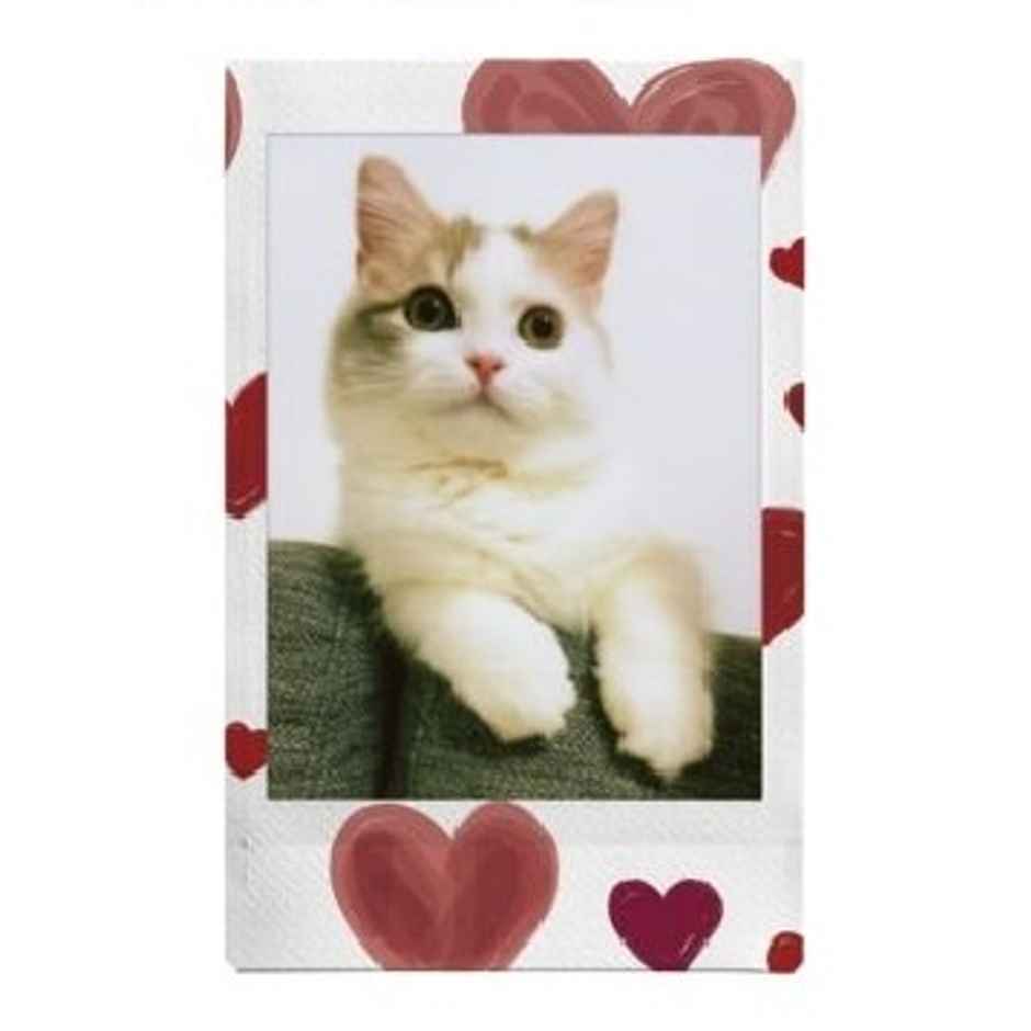 Fujifilm Instax Mini Film Heart Sketch | 10 Shots