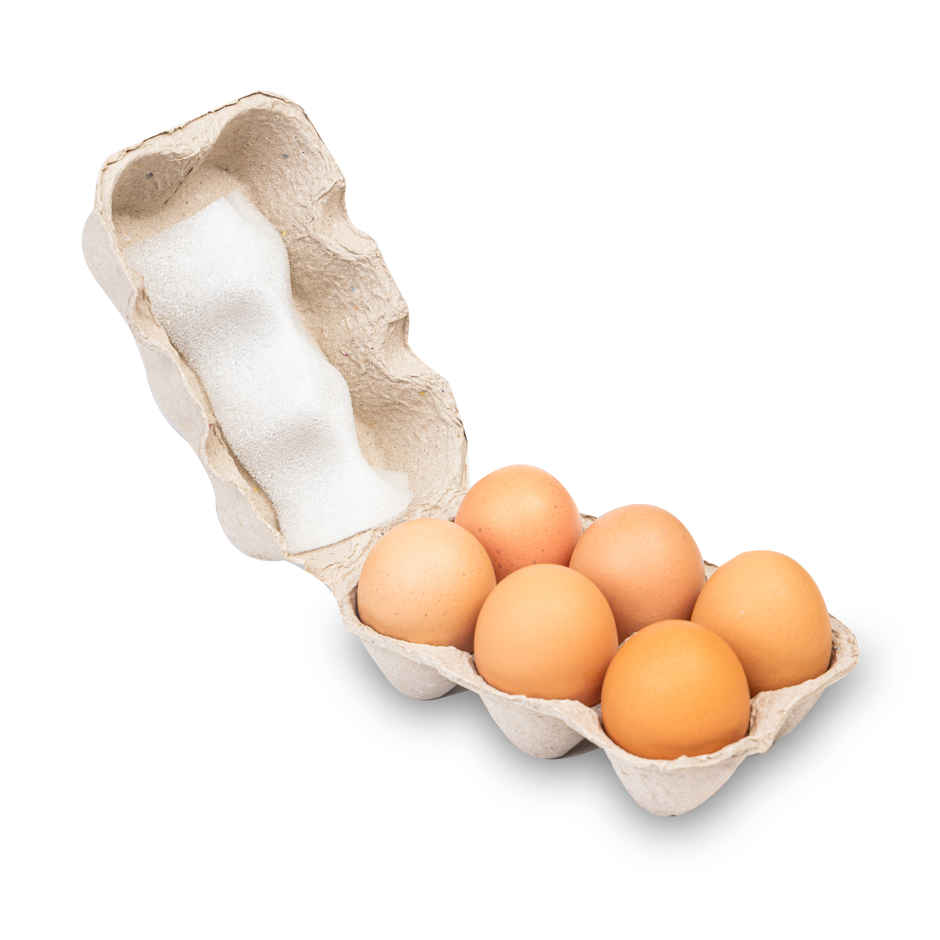 Relish Brown Eggs - Pack of 6