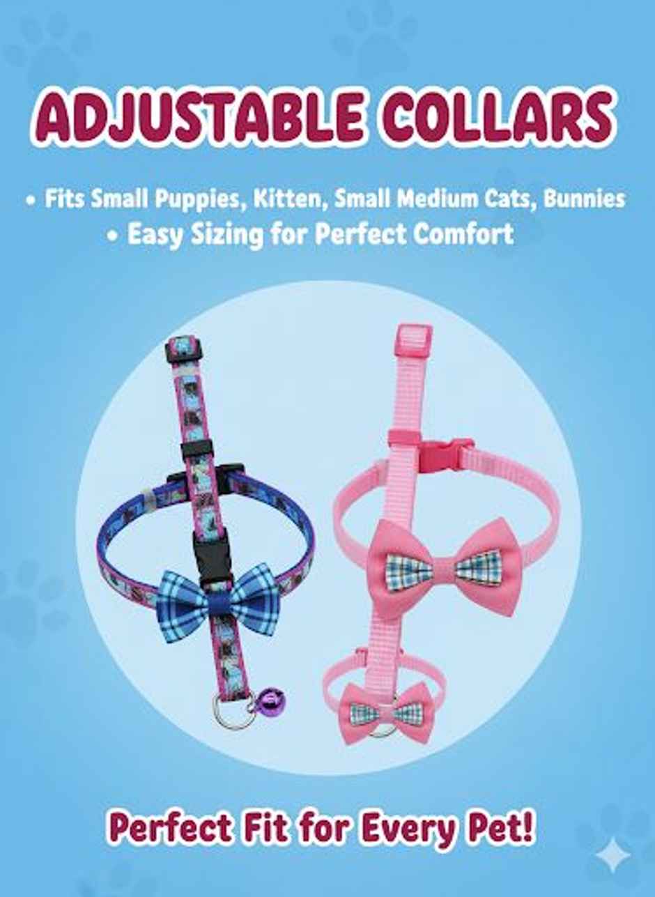 Nootie Kitten & Cat Collar Combo | Colour May Vary