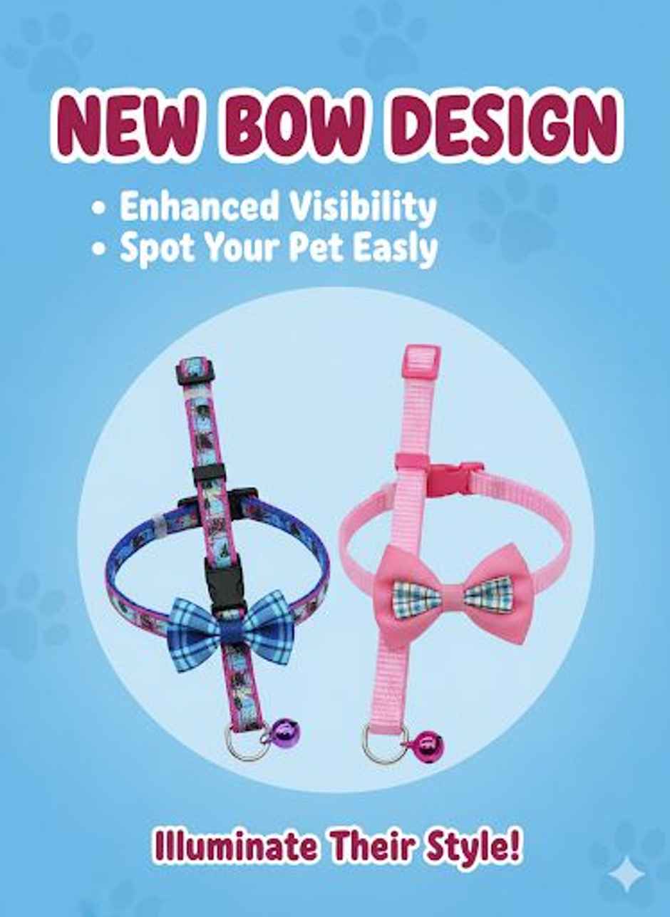 Nootie Kitten & Cat Collar Combo | Colour May Vary