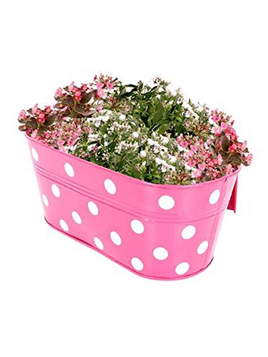 TrustBasket Dotted Oval Railing Planters | Assorted Hanging Pots for Balcony