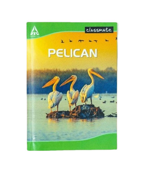 Classmate Longbook Single Line I Assorted 297X210 7