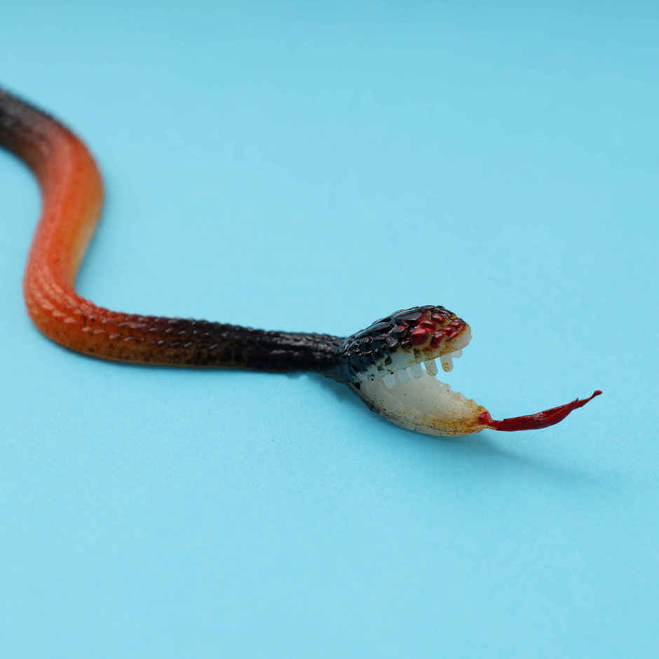 Fake Snake Prank Toy | Happy Mail