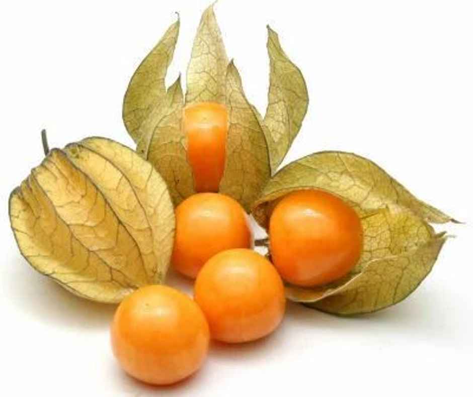Cape Gooseberry