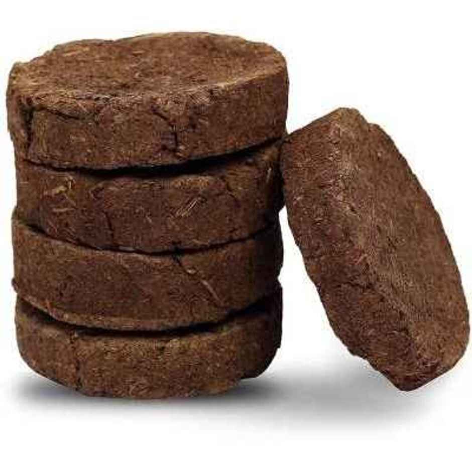 Cow Dung | Pack of 5 | Divine Vibes