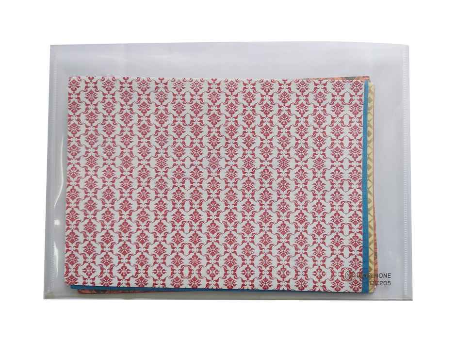 Worldone My Clear Bag Button File Folder -Assorted