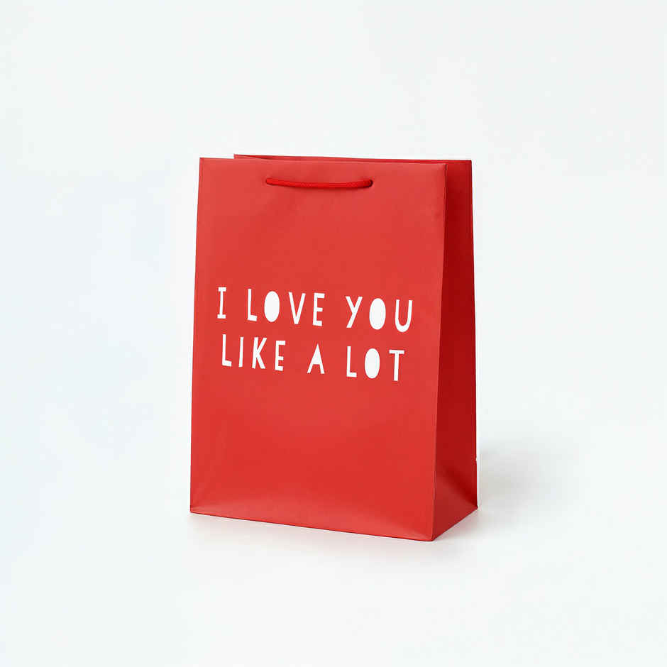 Love You a Lot Gift Bag | Small | 23 x 18 x 8 cm | Happy Mail