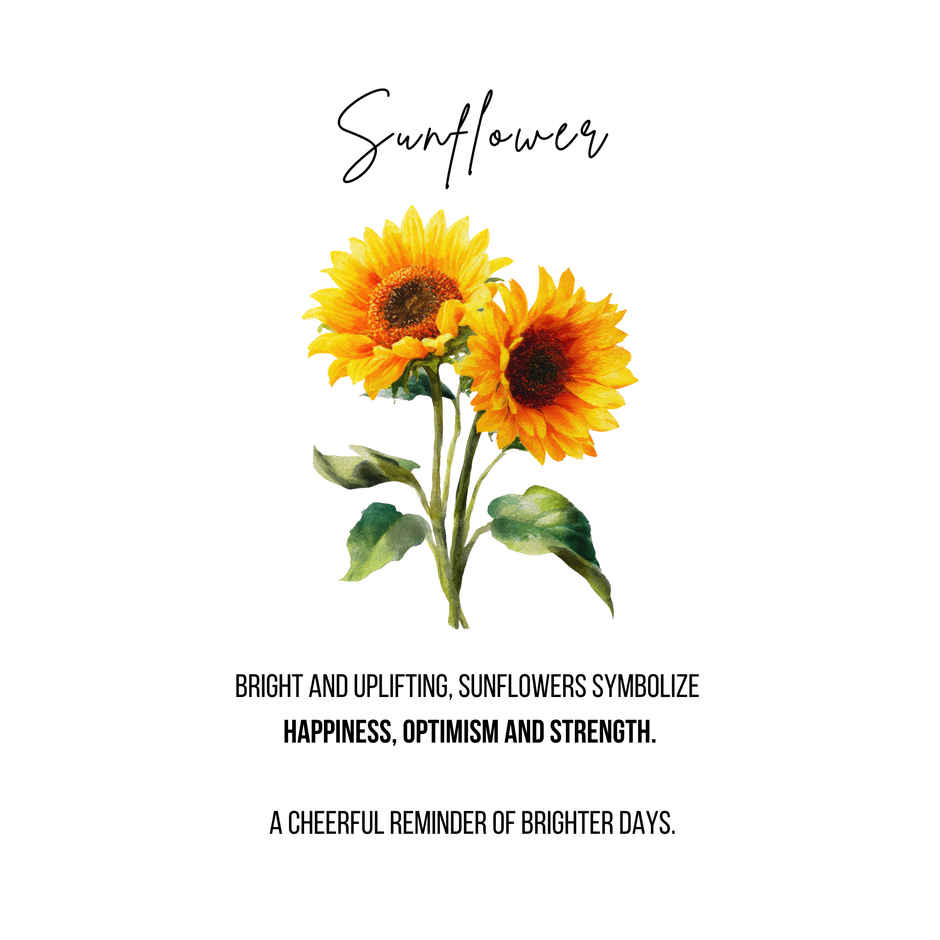 FlowerAura Classic Black Single Sunflower Bouquet | Gifting