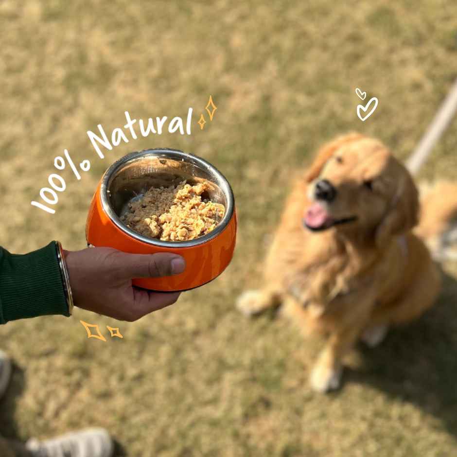 Sploot Chonky Chimken Fresh Food For Dogs