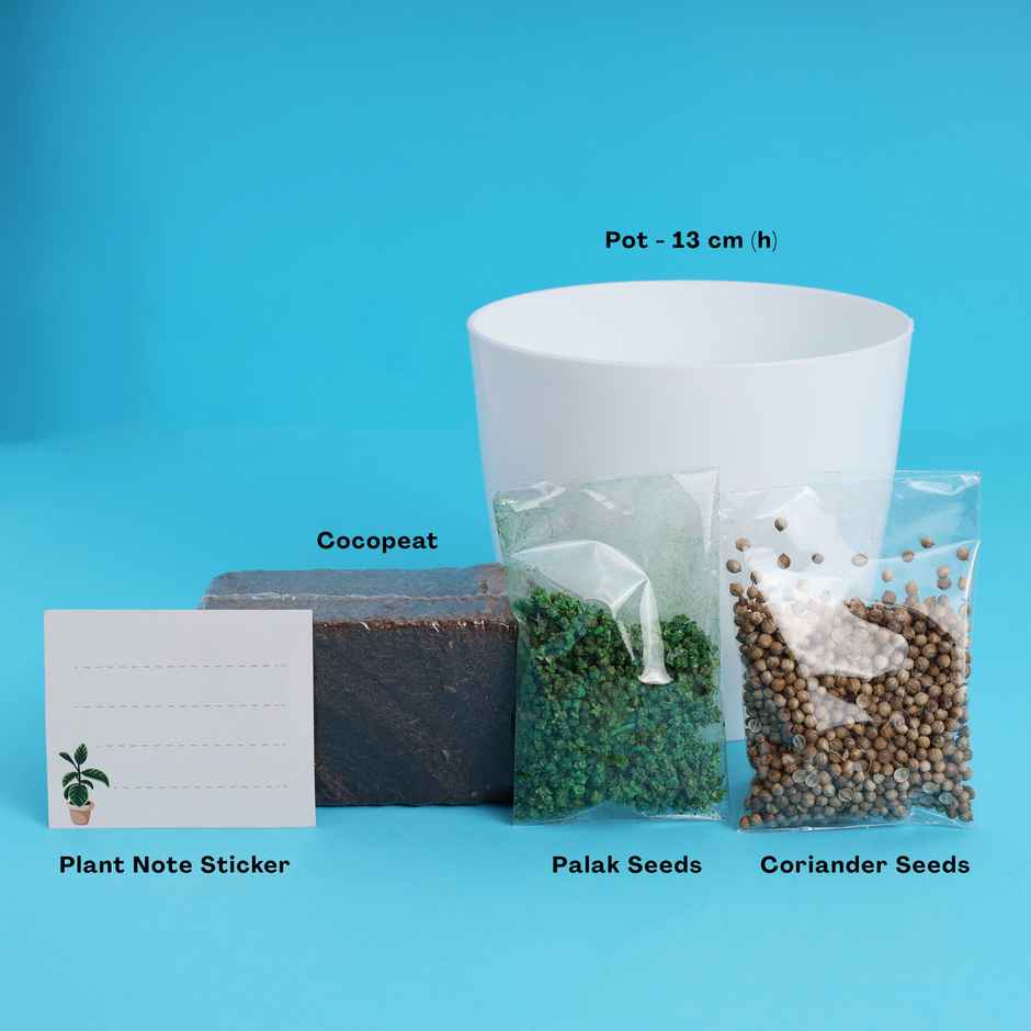 Indoor Herb Garden Kit with Seeds | DIY Gardening Set