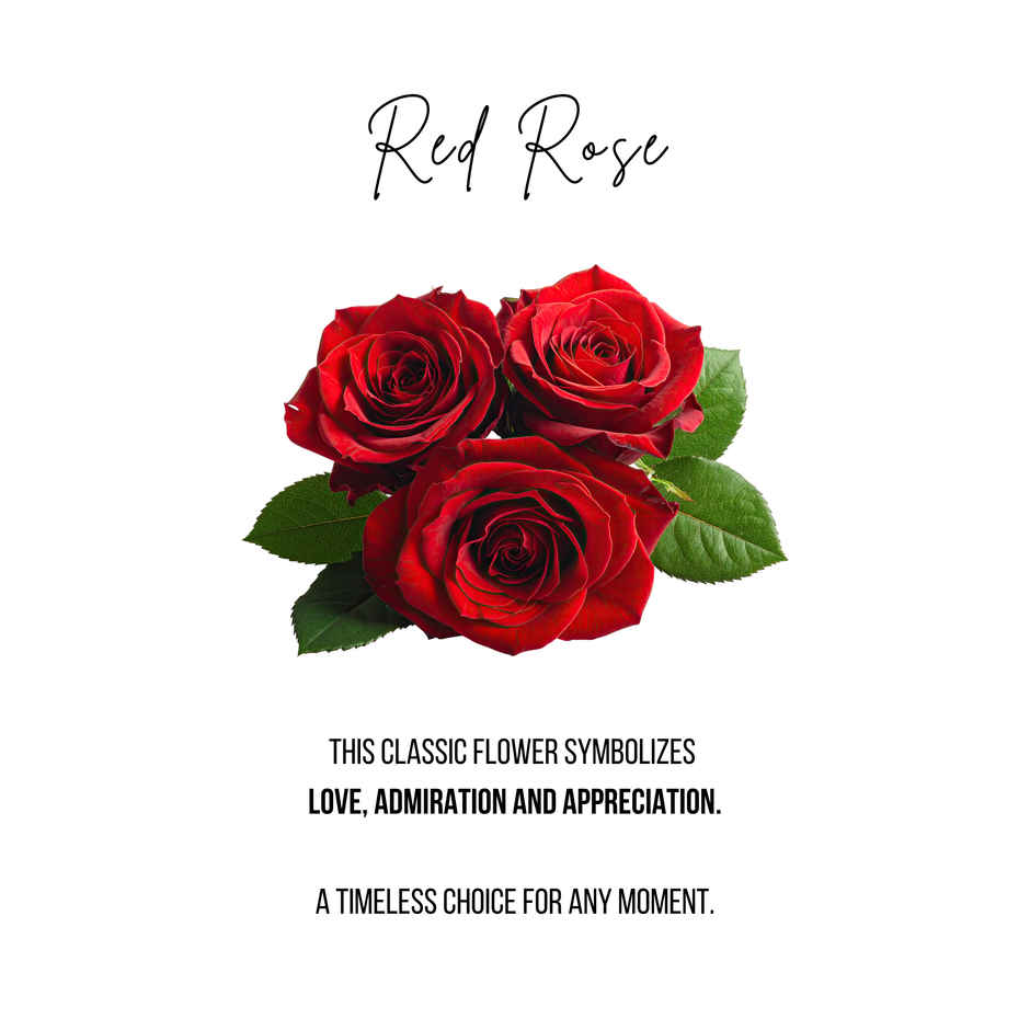 FlowerAura 8 Red Roses Bouquet in Polka Dot Wrap | Gifting
