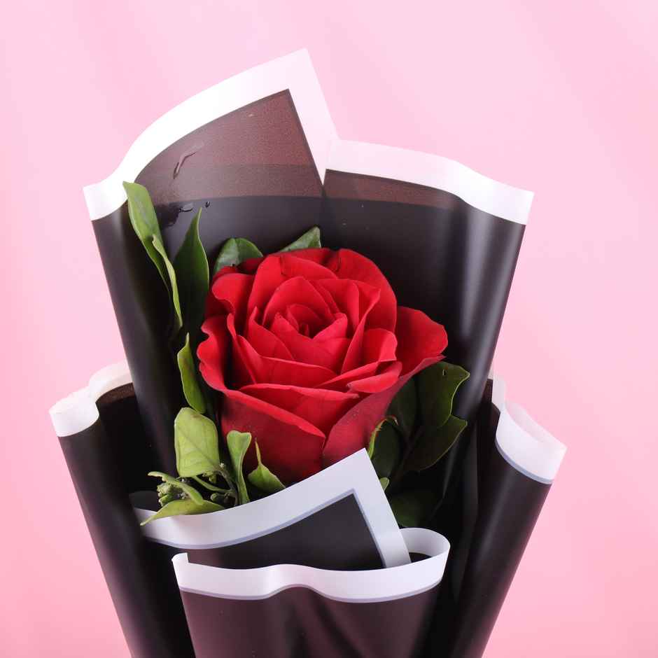 FlowerAura Single Red Rose in Black Premium Paper