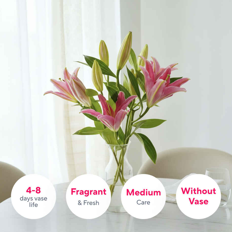 Pink Oriental Lily With Fragrance | 3 Stems