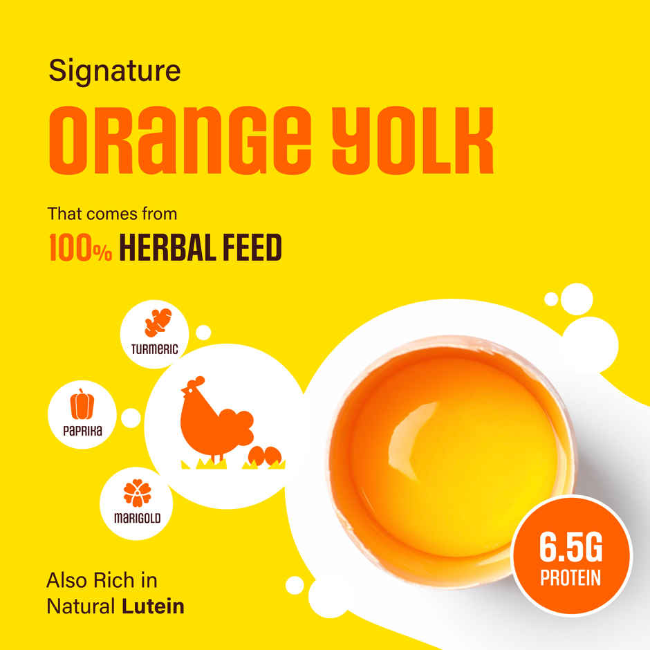 Eggoz Protein Rich Farm Fresh White Eggs