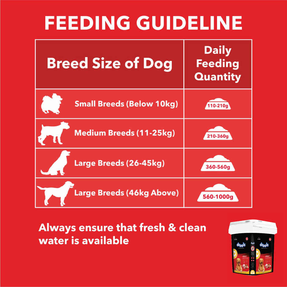 Drools Chicken and Egg Adult Dry Dog Food Inside Container 5kg