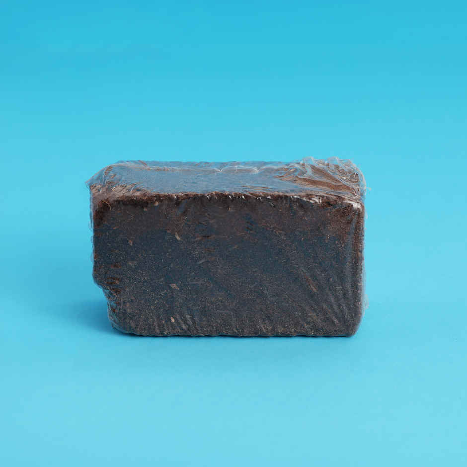 Indoor Herb Garden Kit with Seeds | DIY Gardening Set