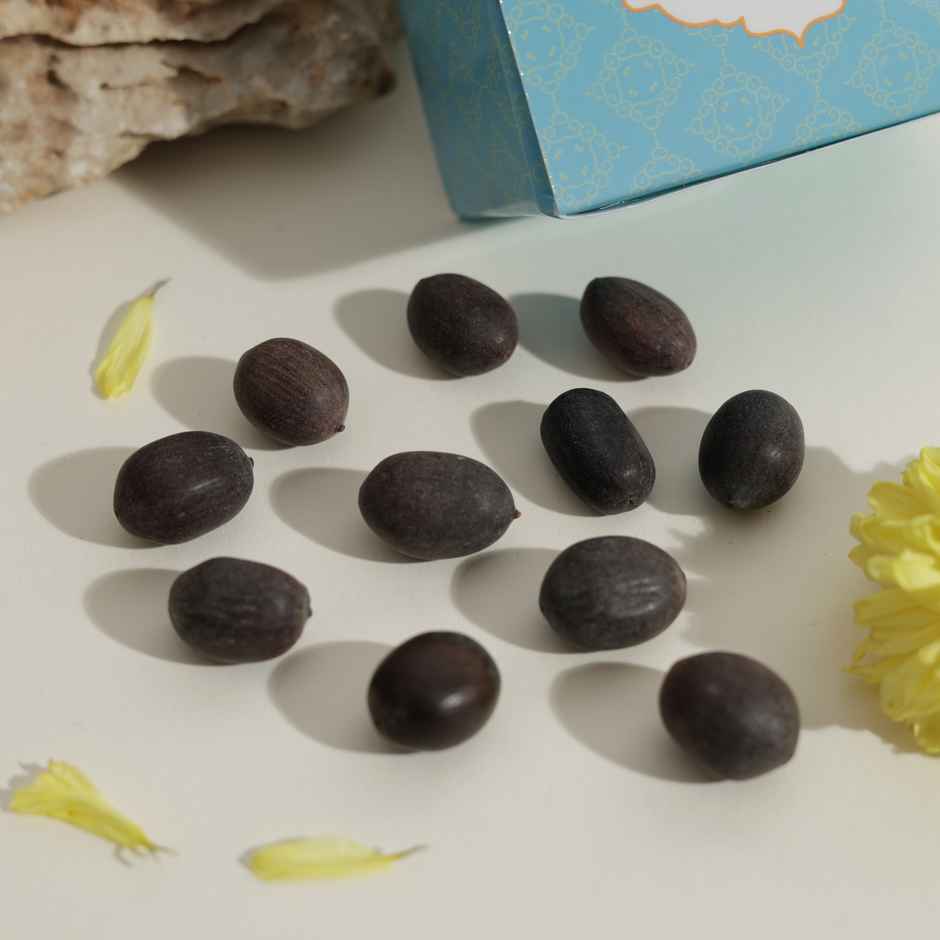 Kamal Gatta Seeds (Lotus Seeds) | Pack of 11 | Happy Mail
