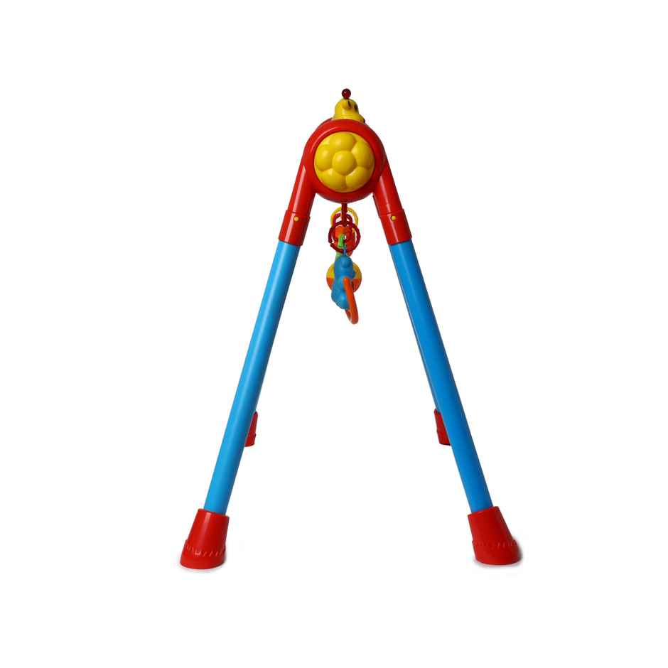 Toyzone Giraffe Baby Play Gym