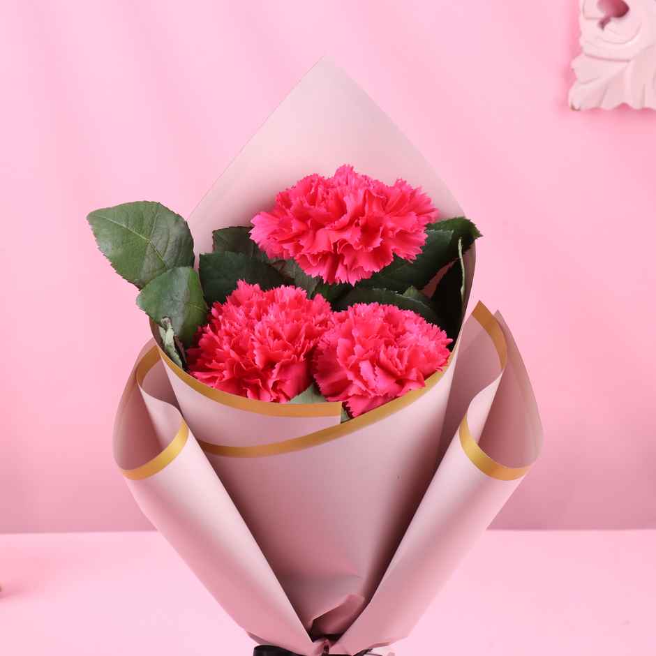 FlowerAura 3 Pink Carnations Bouquet in Pink Premium Paper