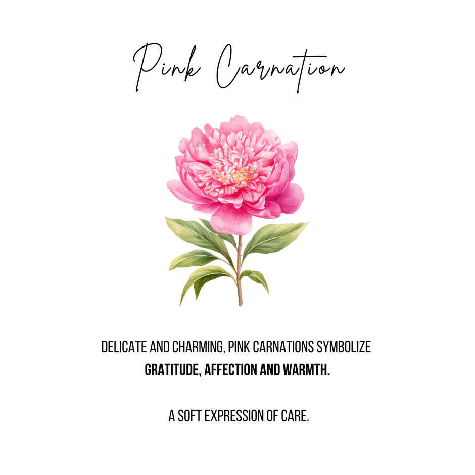 FlowerAura 3 Pink Carnations Bouquet in Pink Premium Paper | Gifting