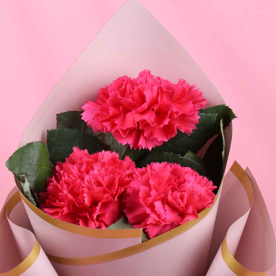 FlowerAura 3 Pink Carnations Bouquet in Pink Premium Paper | Gifting