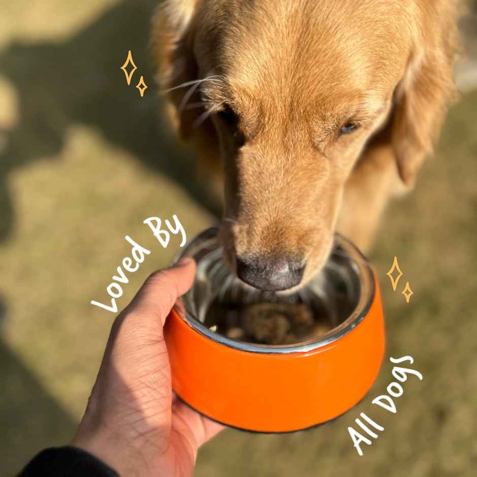 Sploot Chonky Chimken Fresh Food For Dogs