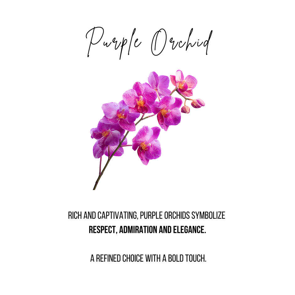 FlowerAura Purple Orchids Bouquet in Pink Wrap | Gifting