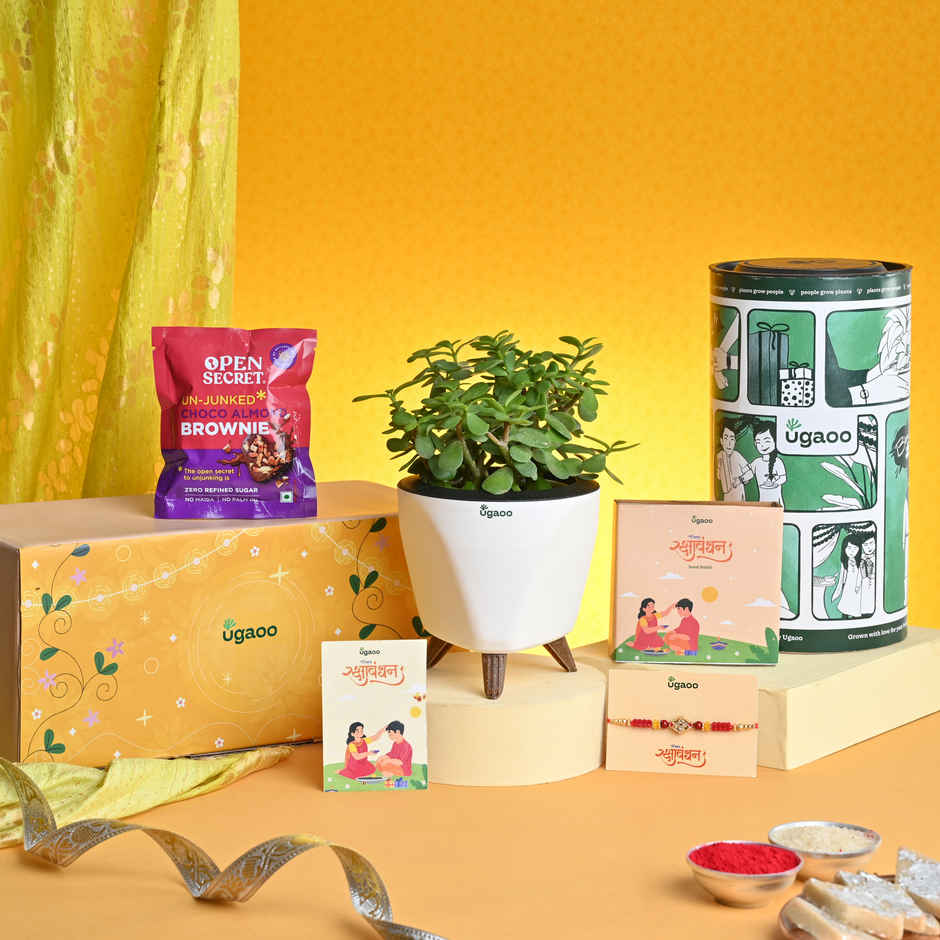 UGAOO Exotic Plant Hamper for Raksha Bandhan