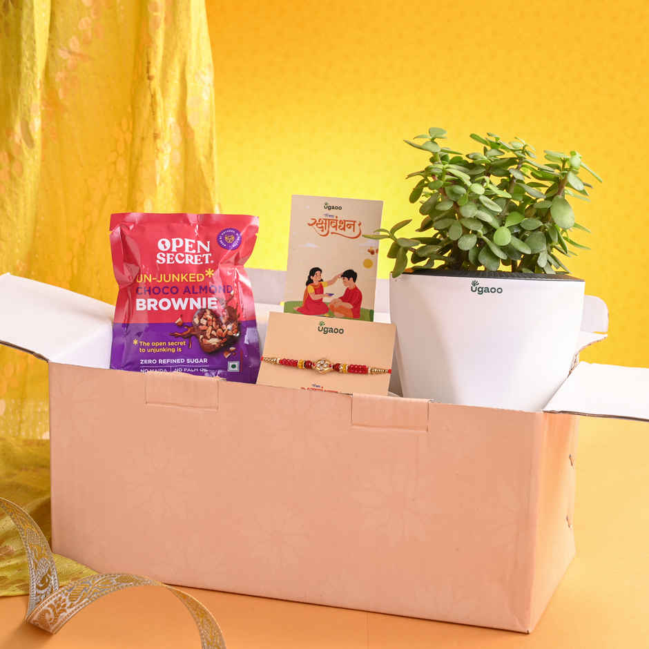 UGAOO Exotic Plant Hamper for Raksha Bandhan