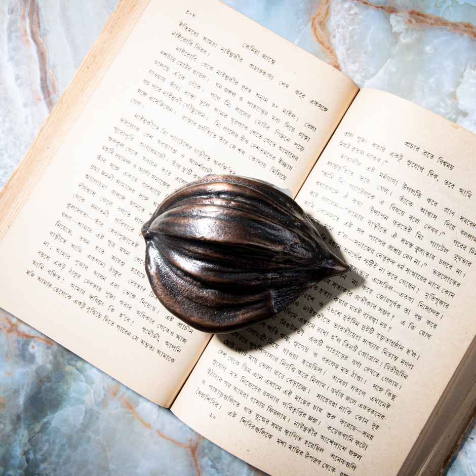 Gibox Decorative Metal Coconut