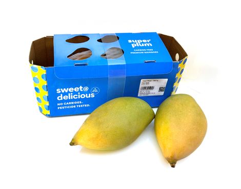 Superplum Mango Totapuri