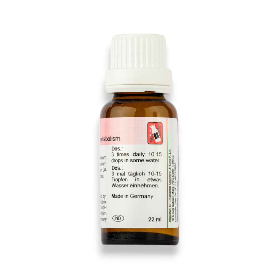 Dr. Reckeweg R40 Diabetes Drop Homeopathic Medicine