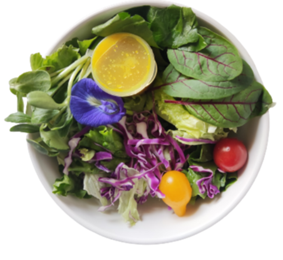 Premium Ready To Eat Salad Box With Dressing Regular