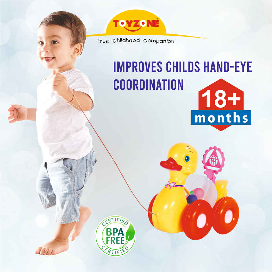 Toyzone Baby Duck Pull Along